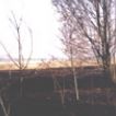 Archiv zasahy 01.01.0004