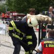 TFA OLOMOUC 2012 28.05.2012