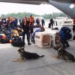 Usar NL na našem letišti 26.05.2008